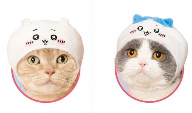 livedoornews's tweet photo. 【全6種】ちいかわ「ねこのかぶりもの」がカプセルトイに！
https://t.co/i6iD2syWEF

ラインナップは、ちいかわ、ハチワレ、うさぎ、くりまんじゅう、モモンガ、シーサーの全6種類で、愛猫を『ちいかわ』の人気キャラクターに変身させることができる。27日から順次発売。 https://t.co/xtFzGQKE8Z