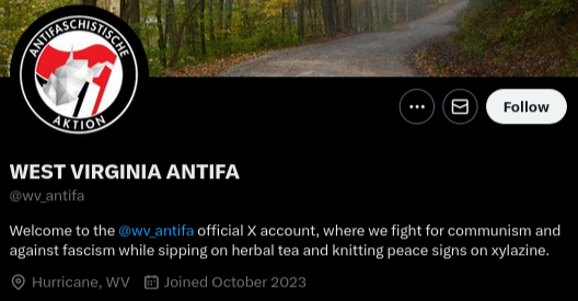 Antifa Checker 161 tweet media