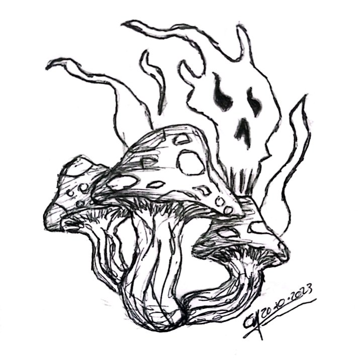 22. Hongos

#TintubreLegendario #HaLLoweenLegendario2023 #hongos #fungi #draw #drawing #dibujo #dibujando #instagramart #ink <a href="/leyendaspodcast/">Leyendas Legendarias</a>