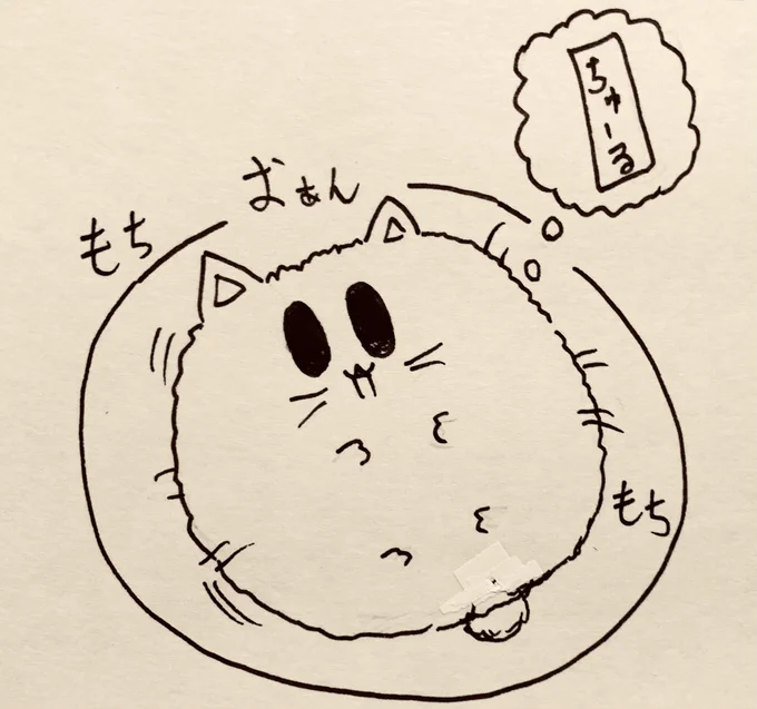 用事がすんで運動もしたのでお昼寝