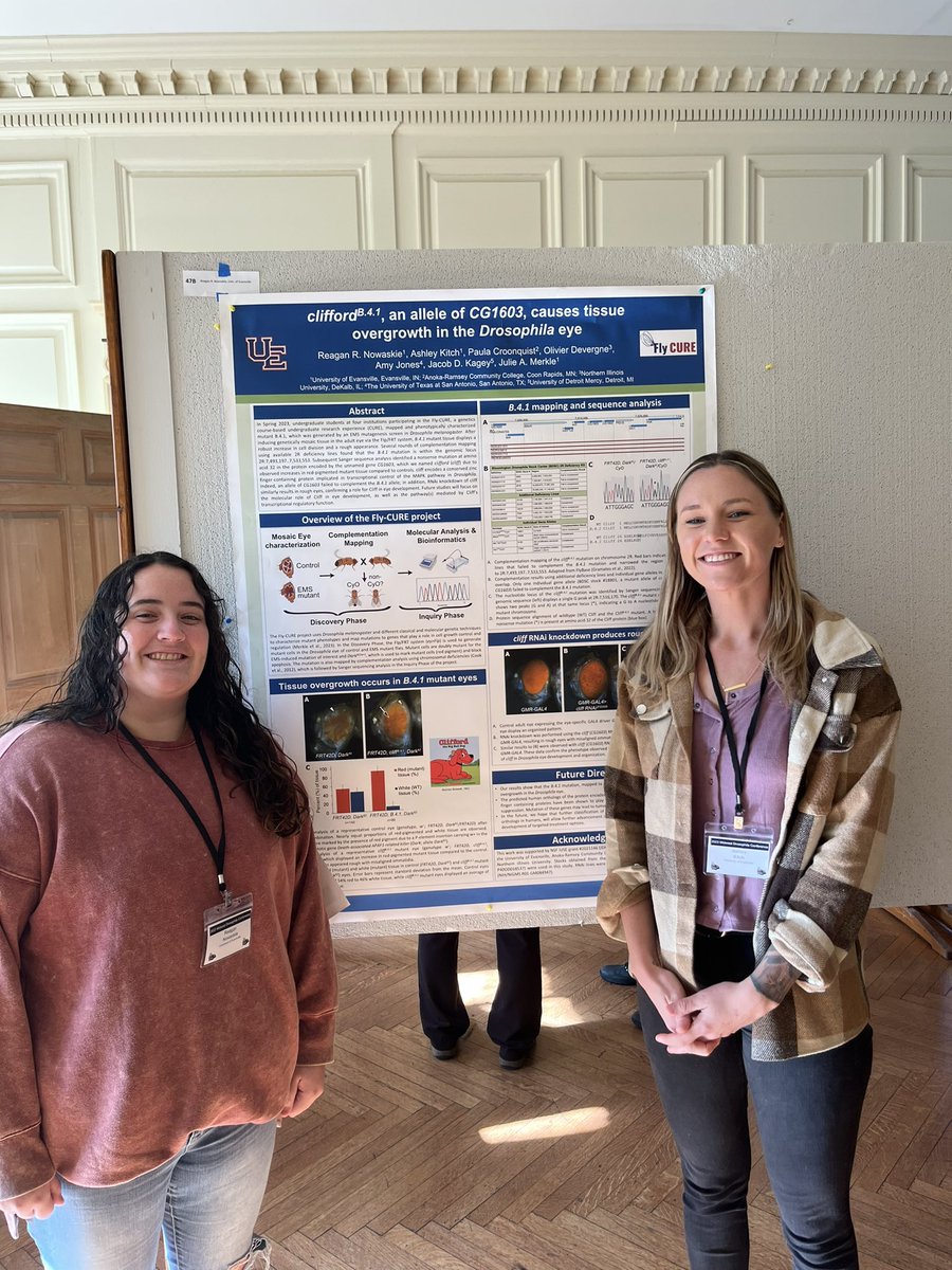 UEBiology's tweet photo. This weekend, Reagan Nowaskie and Ashley Kitch (Biology juniors) attended the Midwest Drosophila Conference to represent @UEBiology &amp; #FlyCURE &amp; presented their work on Clifford - a #Drosophila gene named by undergraduate students @ 4 institutions!! https://t.co/lmwB6UZSXI