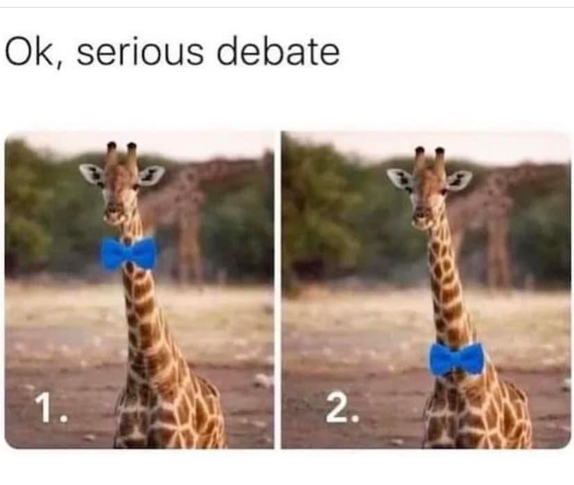 devon sawa (@devonesawa) on Twitter photo 