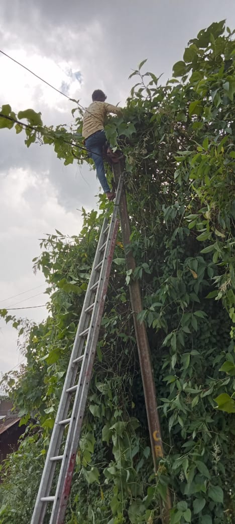 LEBONG CANTT BOARD tweet media