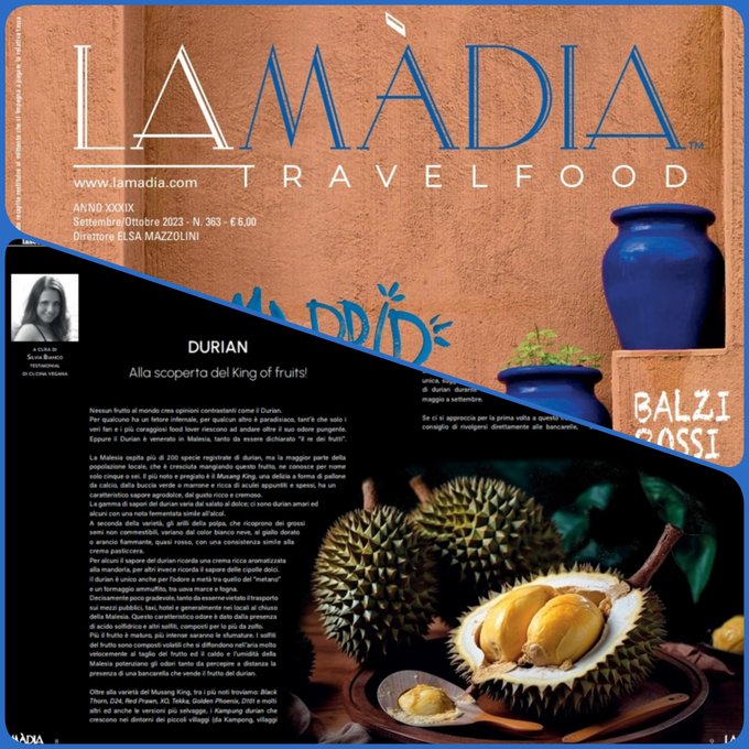 "Durian: alla scoperta del King of fruits!" Qui il link all'articolo ⬇️ https://t.co/P3UuQmvoz4 Qui il<a href="/tag/silviabianco"class="tags"><span>#silviabianco</span></a><a href="/tag/vegangirl"class="tags"><span>#vegangirl</span></a><a href="/tag/lamadiatravelfood"class="tags"><span>#lamadiatravelfood</span></a>