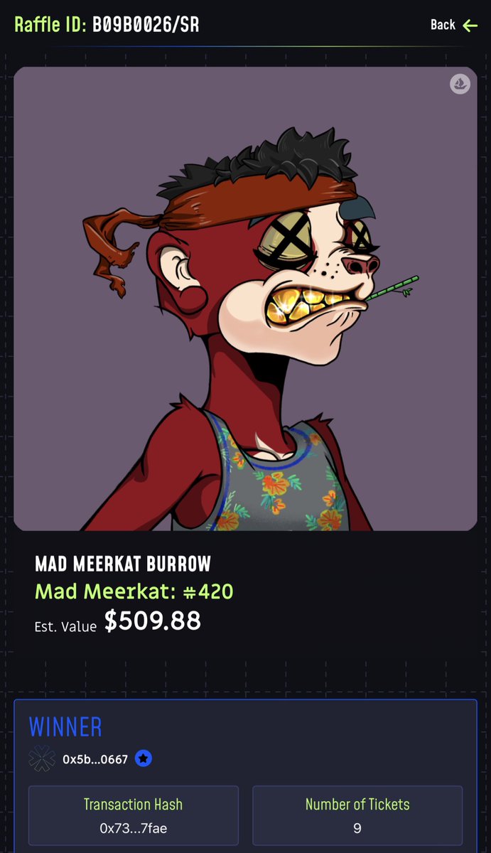 Rafldex's tweet image. Where’s @MadMeerkatNFT community? 🔥👇