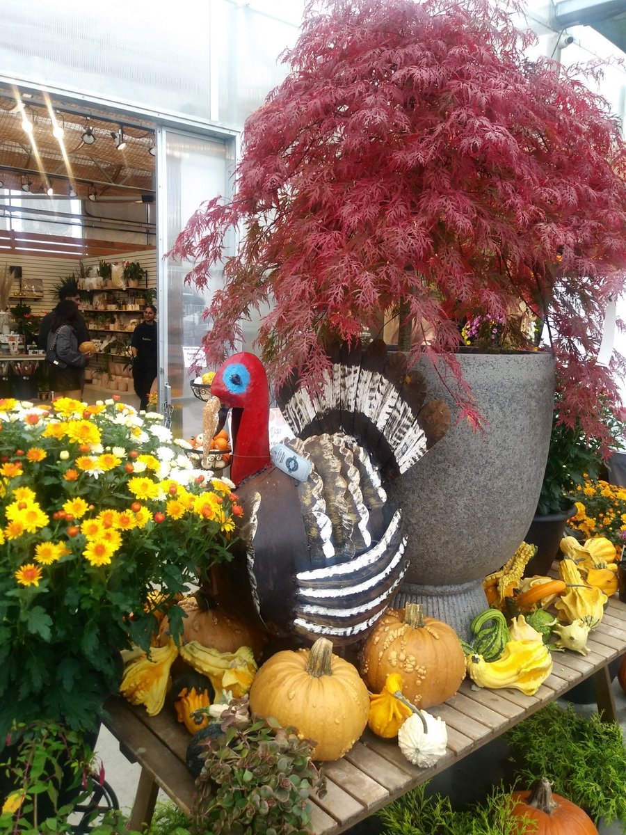 VanCity_Chic's tweet photo. Pumpkin Patch Festival 🎃 Beautiful! https://t.co/kHCgG9AsjT https://t.co/KqavBOPgYI