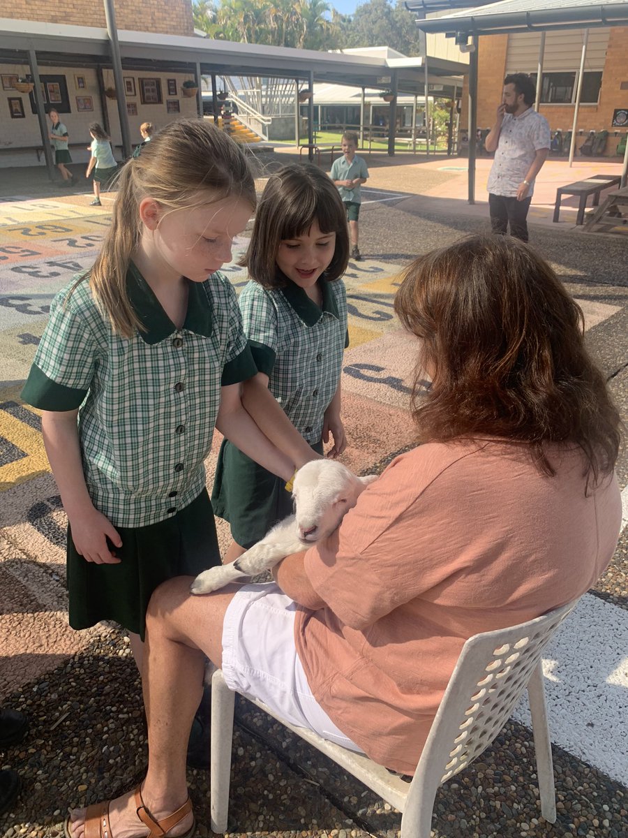 CleverKindy's tweet photo. Meeting baby Yoda 🐑 https://t.co/2RkLu6WvSX
