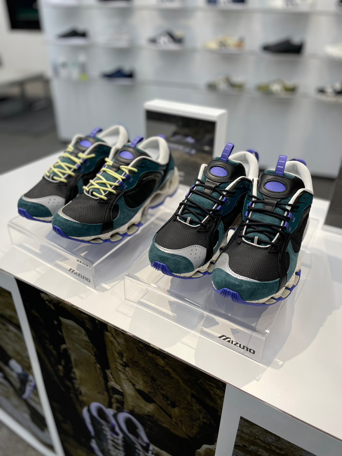 POTER × MIZUNO コラボ フレームウォーカー 数量限定品 MIZUNO ミズノ トレーニングシューズ キッズ ジュニア 少年用