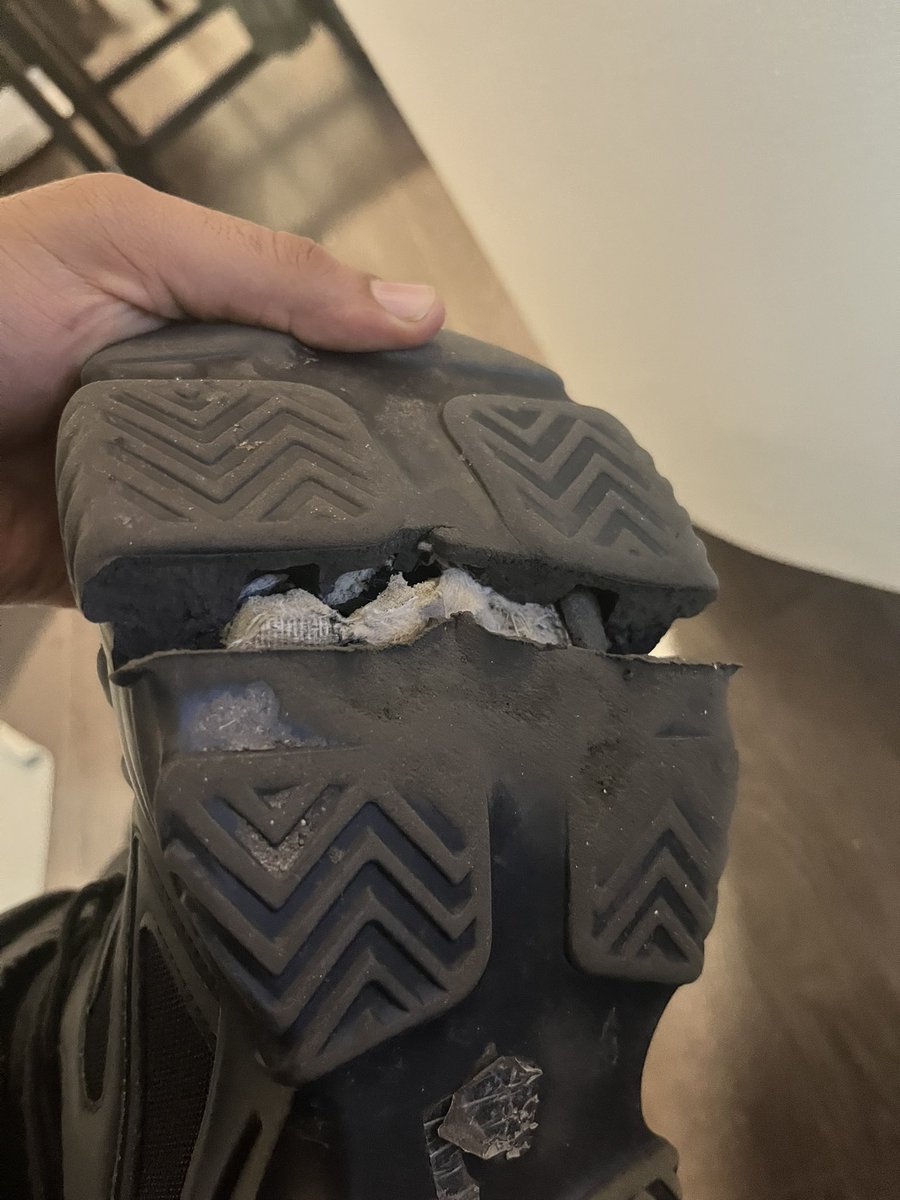 Being Honest_Canada tweet media