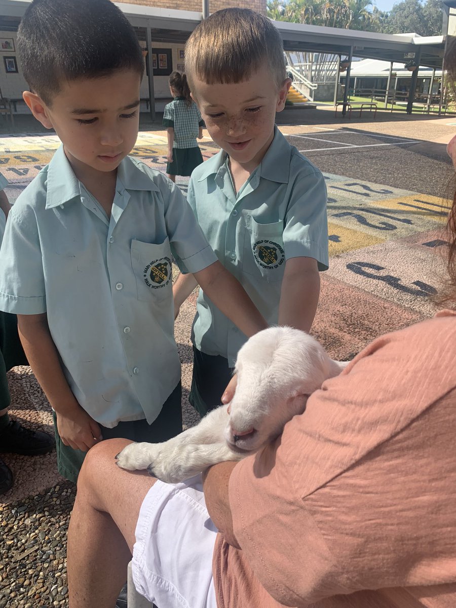 CleverKindy's tweet photo. Meeting Baby Yoda 🐑 https://t.co/9YqaxIuNyW