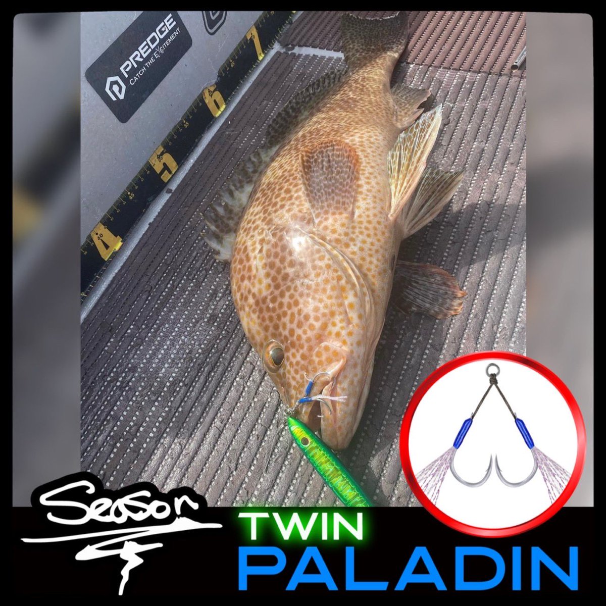 SeasonTackle's tweet photo. PALADIN TWIN【パラディンツイン】
フッキング率重視のセッティングで使い手を選ばない扱い易さとシチュエーションに応じたより幅の広いサイズ選択が可能。高強度の伊勢尼に高度な防錆効果と滑らかな表面処理を実現。ティンセル＋蓄光ファイバーのダブルアピールどんなターゲットも誘い出す！ https://t.co/Khxc4nwYRh