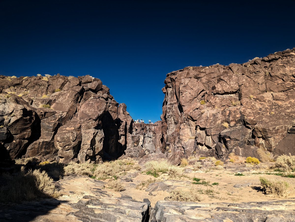 Victor Vescu tweet media