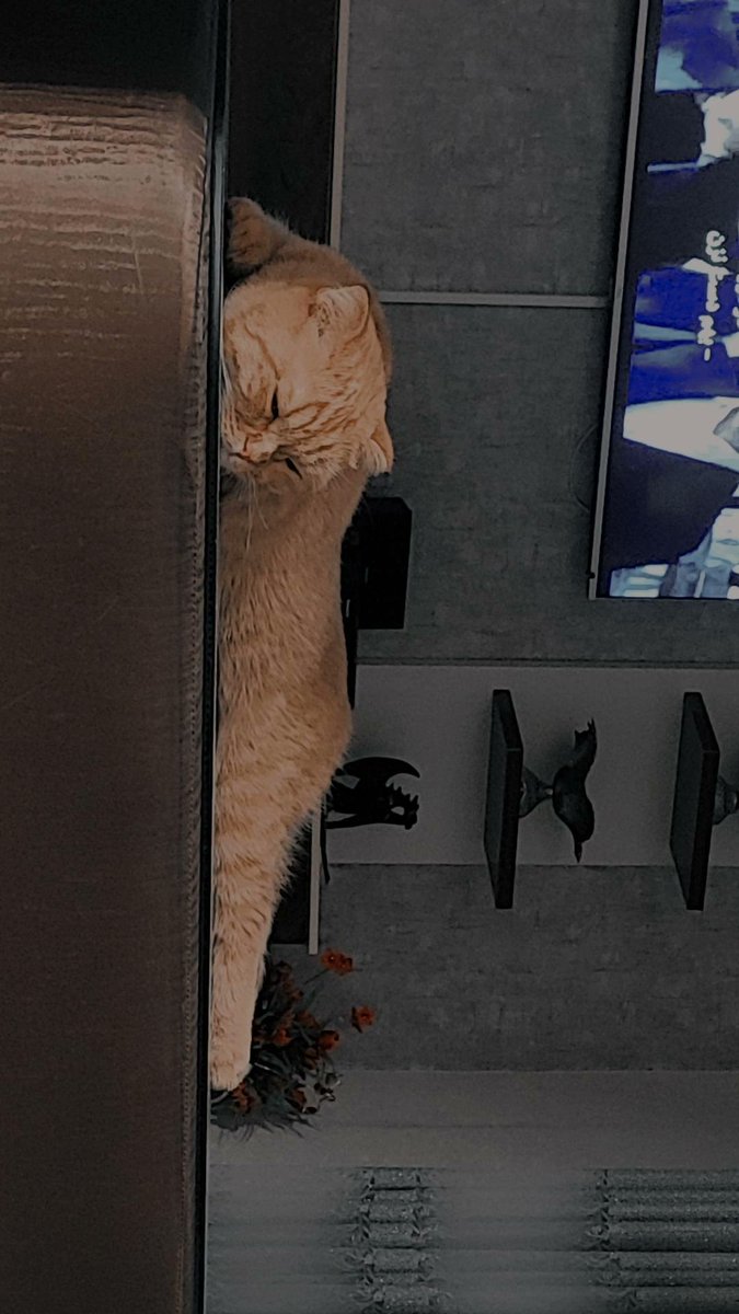 دینا خانم هستن