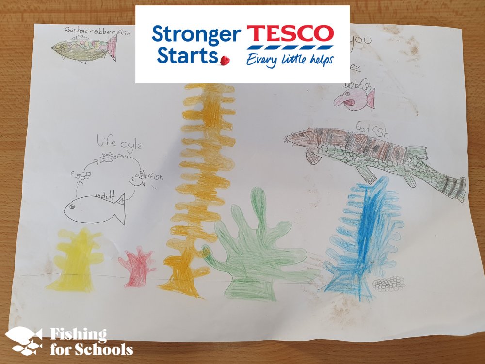 .@Tesco customers! We’ve been selected for customer votes for #TescoStrongerStarts which gives good causes up to £1,500. Tesco customers can vote Fishing for Schools at the Tesco Pontypool superstore until January 2024. Please support us next time you shop at @Tesco!