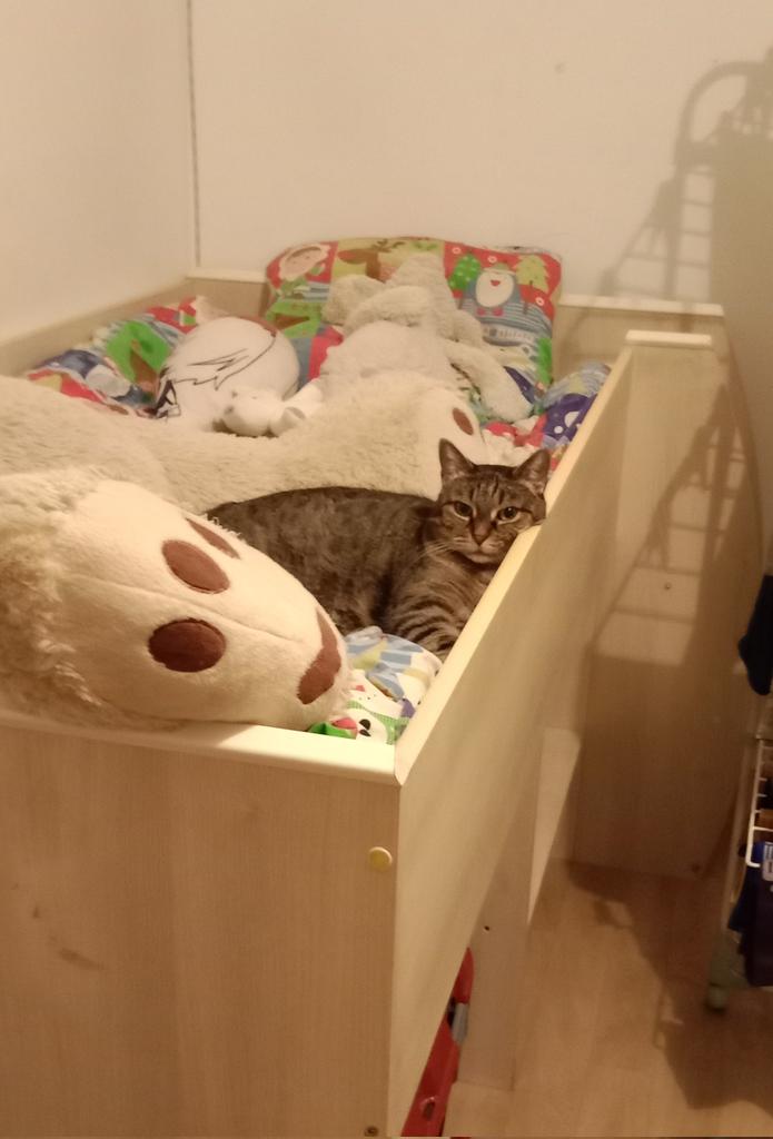 Don Grizzly Modeste tweet media