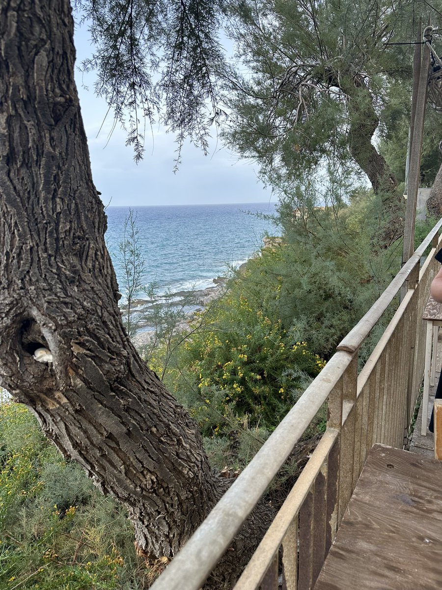 CSGeog's tweet image. 