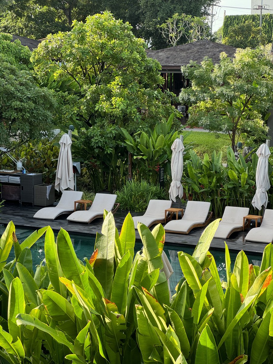 junior47563's tweet photo. Andaz คือแบบดีมาก เหมือนไม่ได้อยู่ศรีราชาเลย https://t.co/HkZR9NJeAt