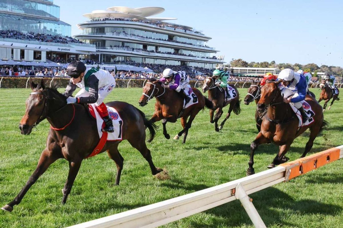 Popular Victorian Based Trainer Ben Hayes is hoping for a good barrier draw and some rain this week for stable star Mr Brightside heading into the Cox Plate at Moonee Valley on Saturday.

For full story, view link below.

jockeyhub.com.au/trainer-hub/ha…

#VICRacing #G1Racing #CoxPlate