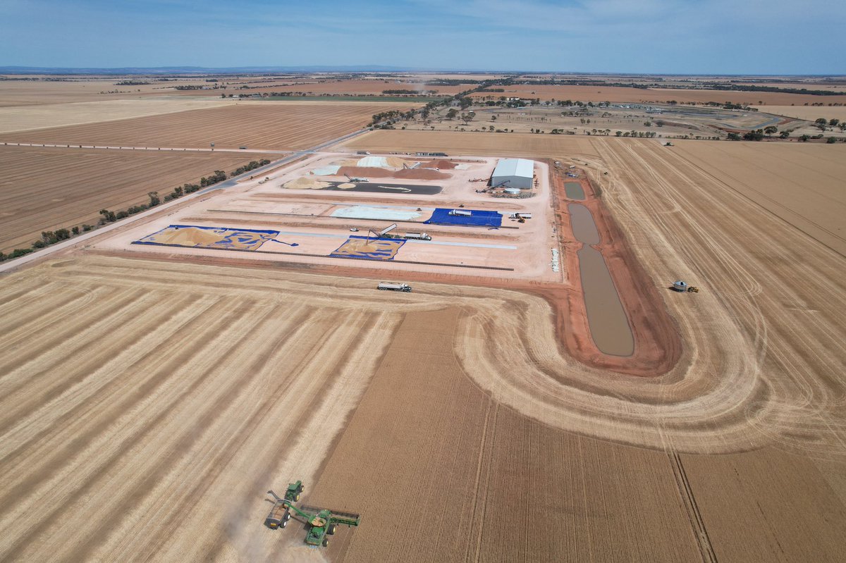 All 3 commodities now piling in as we get the annual shot harvesting next door #wheat #lentils #barley