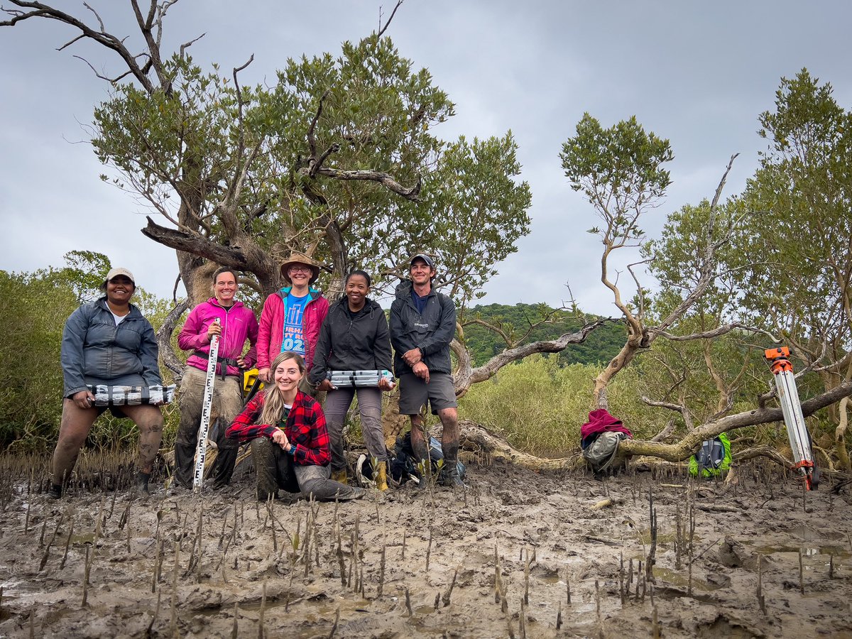 A successful week of sampling South African mangroves with @sarah_woodroffe @Afropollen @ukznpalaeolab @NozizweMtshali @enoch_talia. Thank you to @CMR_MandelaUni for the support. #mangroves #sealevelresearch #sealevel #royalsociety #newtoninternational #durhamuniversity