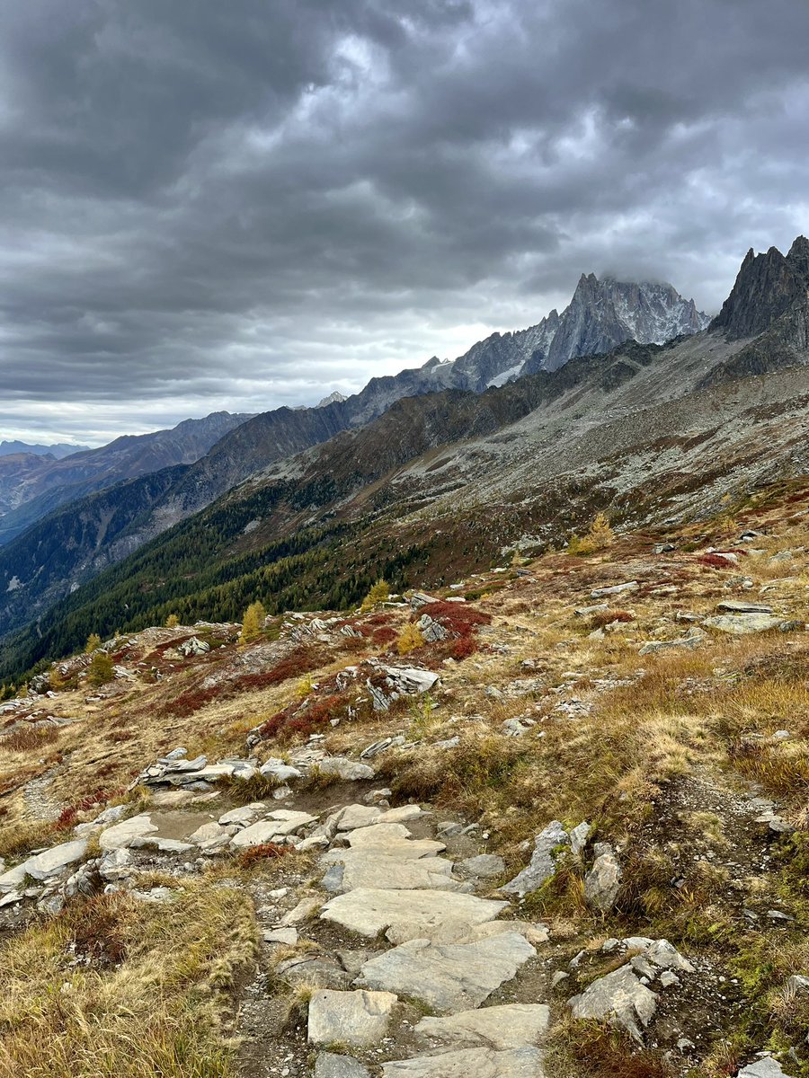 Fernanda Maciel tweet media