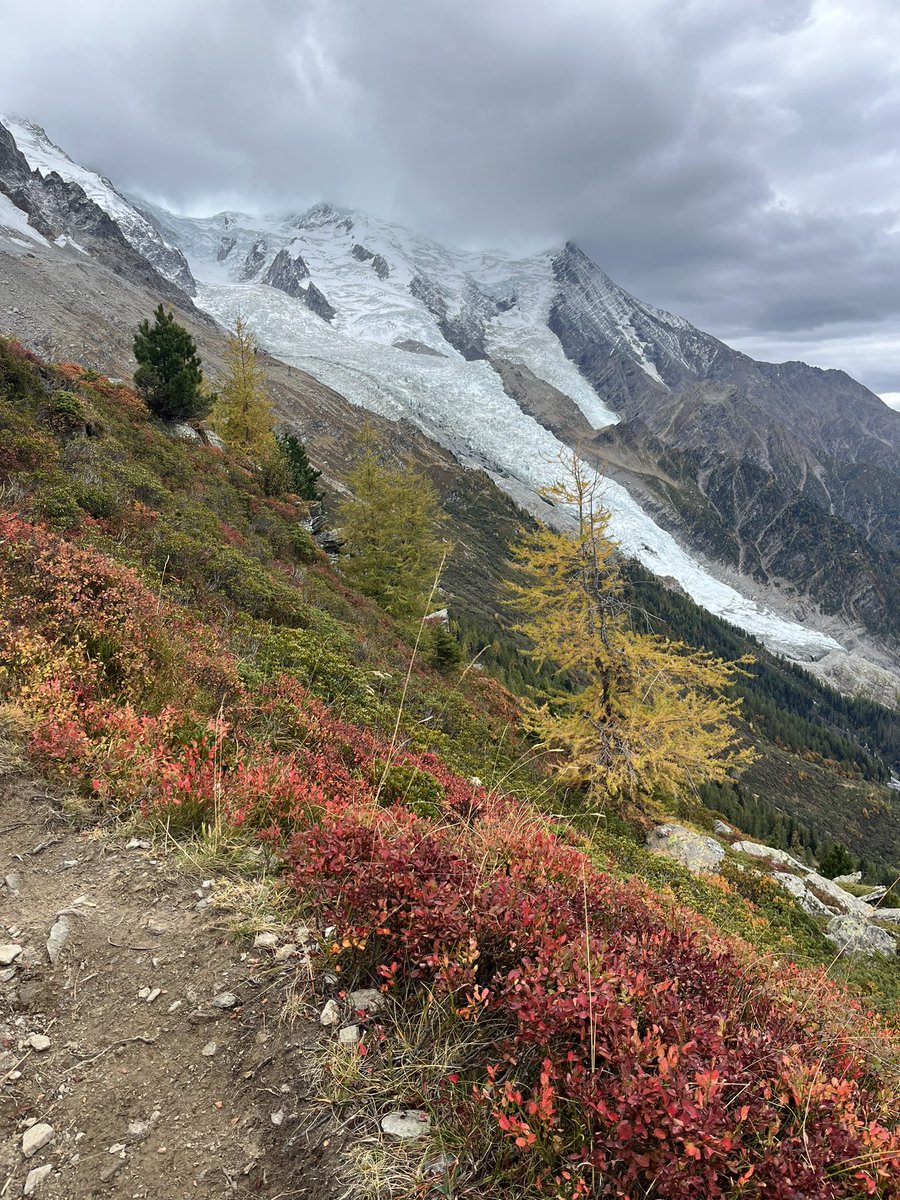 Fernanda Maciel tweet media