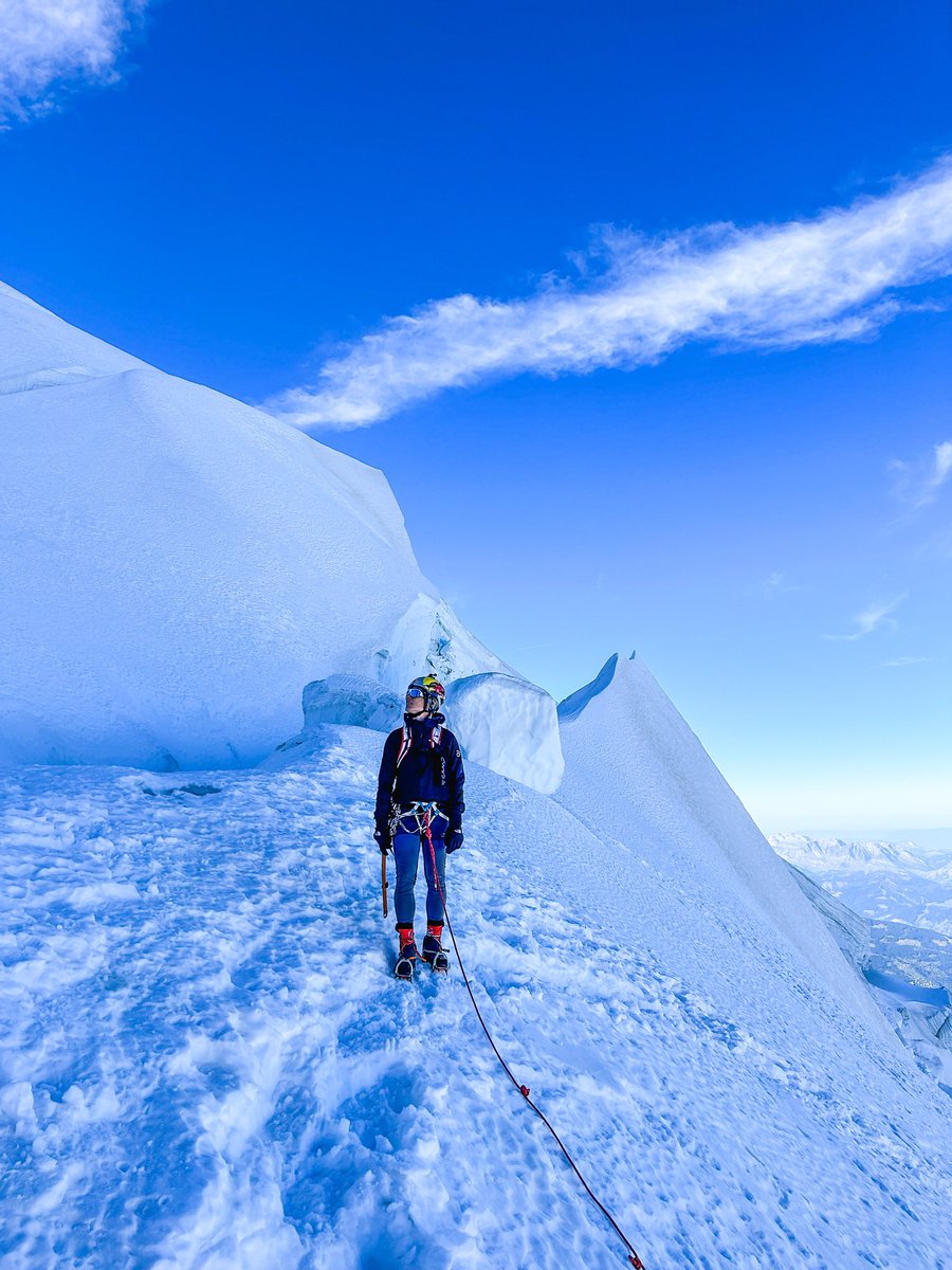 Fernanda Maciel tweet media