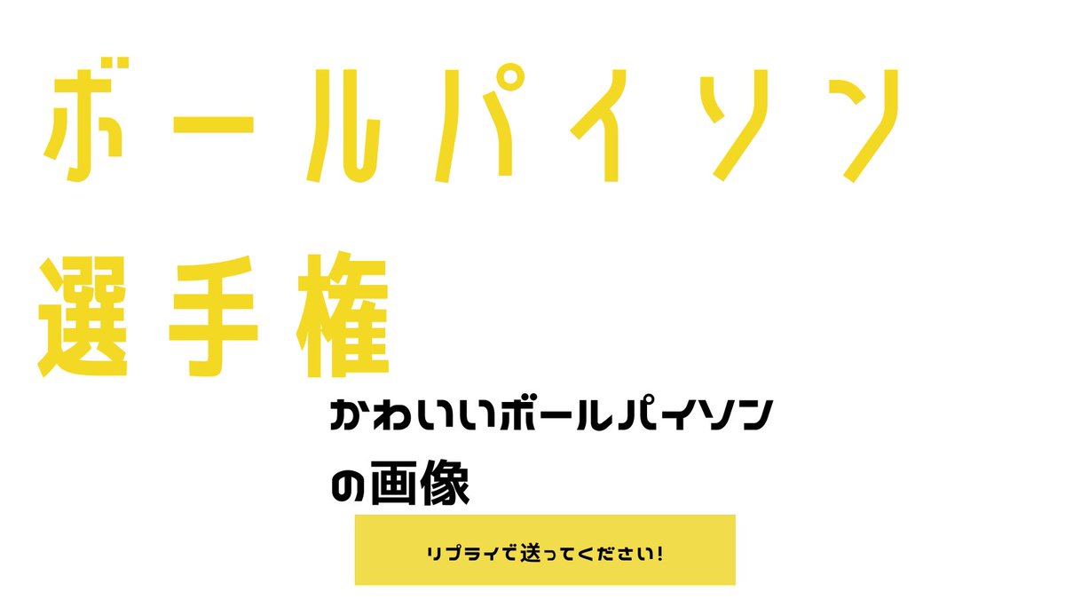 nov_mccoy's tweet photo. 皆さん自慢のボールパイソンをお見せください！ https://t.co/lGcScCwGeG