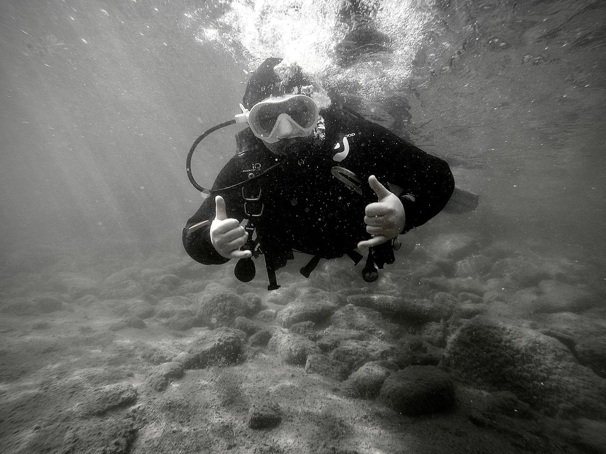 cfortin225's tweet photo. ✅✅ Certified 

#Padi #Diving #Okanagan #DivingPhoto https://t.co/er1sruqWOJ