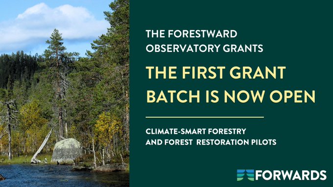 europeanforest's tweet photo. The first grant of #FORWARDScalls is open for applications until 31 October 2023! 

All info on grants aimed for climate-smart forestry and forest restoration pilots: https://t.co/HwnEos6Q3W https://t.co/euEjlly9pc