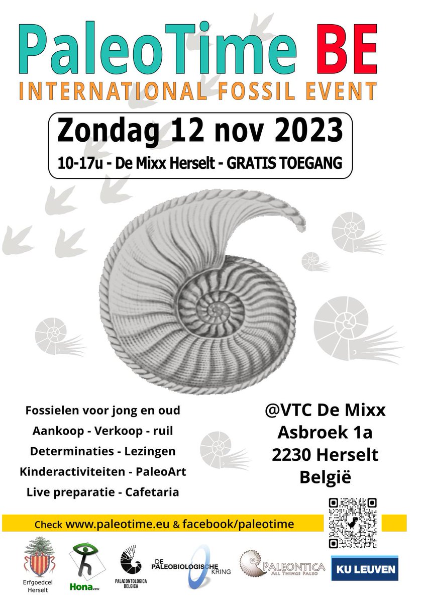 GoolaertsStijn's tweet photo. #PaleoTime, the biggest &amp; best Belgian fossil fest! Dit jaar weer groter! >70 stands, x1000n fossielen, boeken, prepdemo's, determinatietafels en 3 lezingen (Mart Deckers van @NHMMaastricht, en Stijn Everaert &amp; @GoolaertsStijn van @nat_sciences_be. 12 nov 10-17h in @Herselt. https://t.co/s8BSbKZdKh