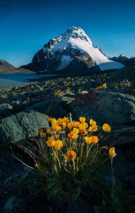 JuddMarleii's tweet photo. Each mountain is higher than the other, and the goals we pursue are never-ending. https://t.co/XQC26B1TF2