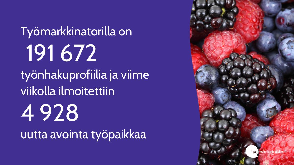 Työmarkkinatorille ilmoitettiin viime viikolla 4928 uutta työpaikkaa ja sivustolla on 191 672 työnhakuprofiilia. Tutustu! tyomarkkinatori.fi

#Työmarkkinatori #AvoimetTyöpaikat #Rekrytointi