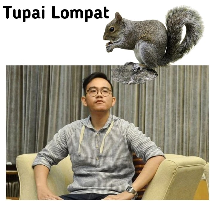 Bajing Luncat
Kwek kwek kwekkk phew!