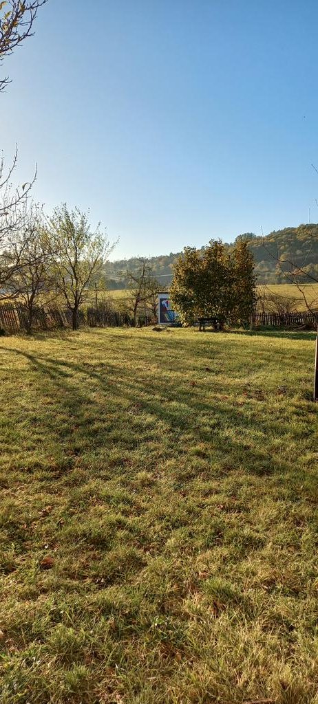 baba_seka's tweet image. #kafa #dvorište