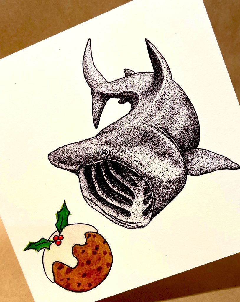 Ginza_Itoya's tweet photo. ✈️ワタシが買ってきました✈️

クリスマスカードも買ってきたよ〜🎄
ジェンが描く野生動物をモチーフにした
#WILDLINES は
点と線で質感がリアルに表現された
存在感抜群なカード🐸🐧🐱
そんな細密なモノクロの動物達と
キュートなパーティグッズの 
絶妙なコントラストに一目惚れ😍
(イチオシは🦈) https://t.co/lDIaqyXLyd