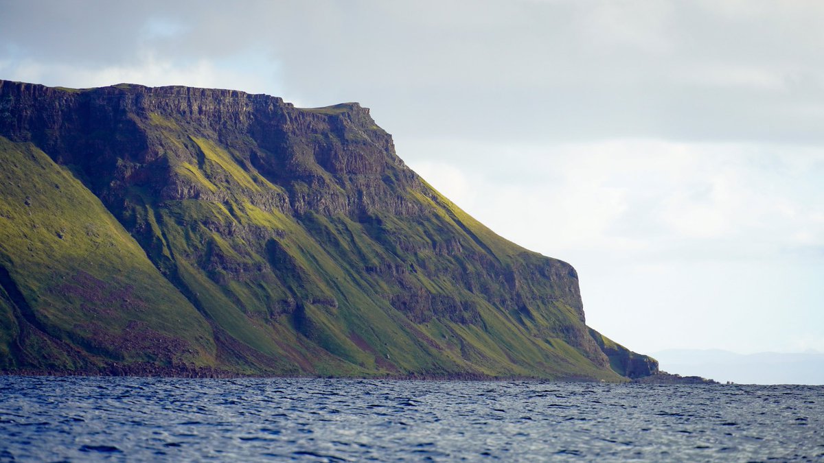 Nick Ray tweet media