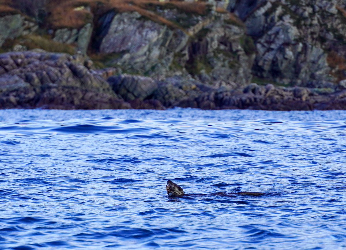 Nick Ray tweet media