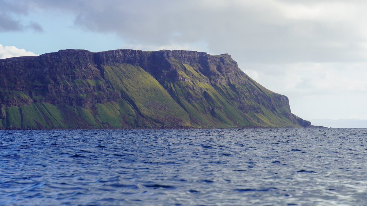 Nick Ray tweet media