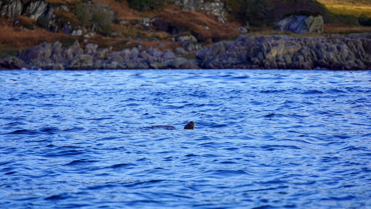 Nick Ray tweet media