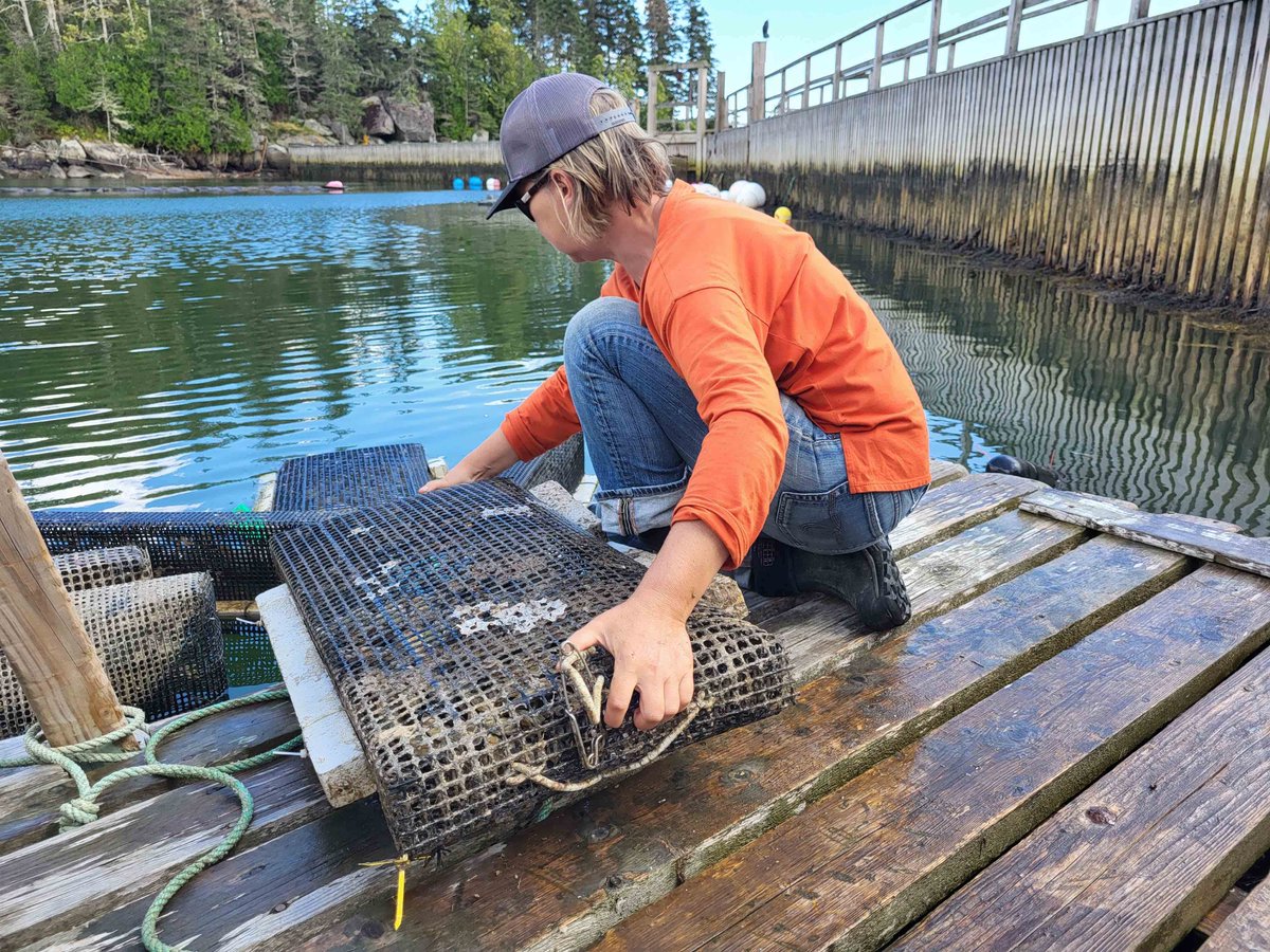 Maine's FishAbility program makes site visits to fishermen, meets them at trades shows, and provides information.  Regular articles in the Commercial Fishing News reach fishermen in Maine and along the Eastern seaboard.   #nifaimpacts #agrabilityvsf