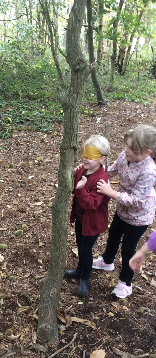 SandlingsP's tweet photo. Toucan class having fun in forest school and a spider themed week in  our bee class(reception) https://t.co/5r3mfxMuck