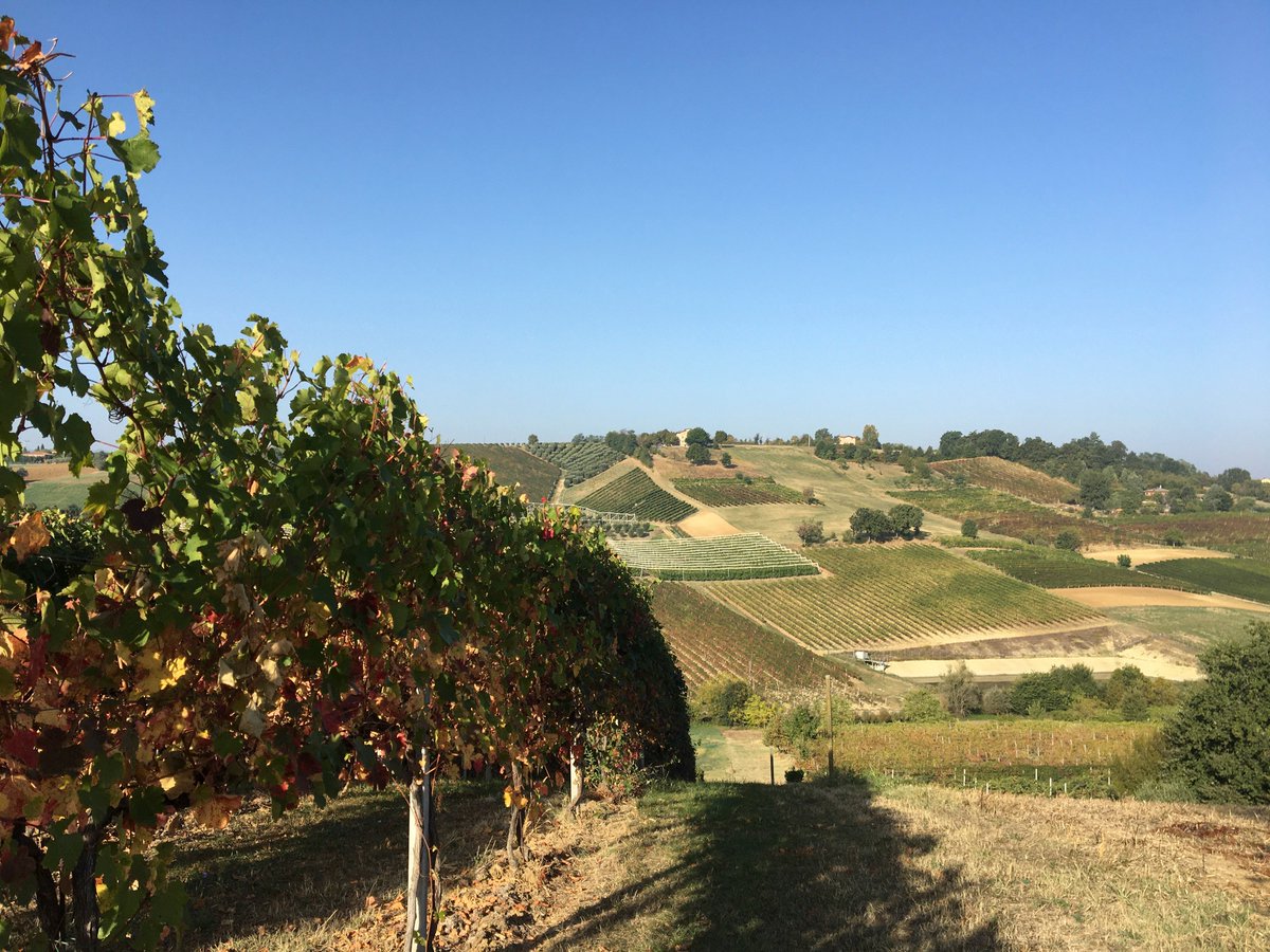 john brunton tweet media