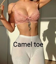 Belgianmotor's tweet photo. Een tweeluik 👇🏻
Fijne werkweek gewenst ☀️☀️☀️
#Cameljoe
#Cameltoe https://t.co/IWXs6TTvEu