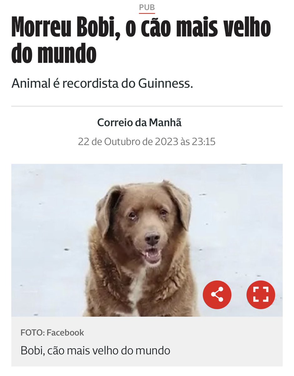 Se eu ler “bom dia” aqui, bloqueio. Não é um bom dia. É um dia horrível.