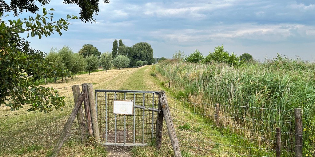 wandelnet's tweet photo. Ken je het Groene Hartpad van @NivonNieuws? 💚 Je wandelt door een verrassende oase van rust en ruimte midden in de #randstad. De nieuwe gids is uit! Meer weten 👉 https://t.co/2fXMhqbvSN 

📷 Ernst Koningsveld

#groenehartpad #nivon #wandelen #wandelroutes #streekpad #wandelgids https://t.co/FNakcITW8Q