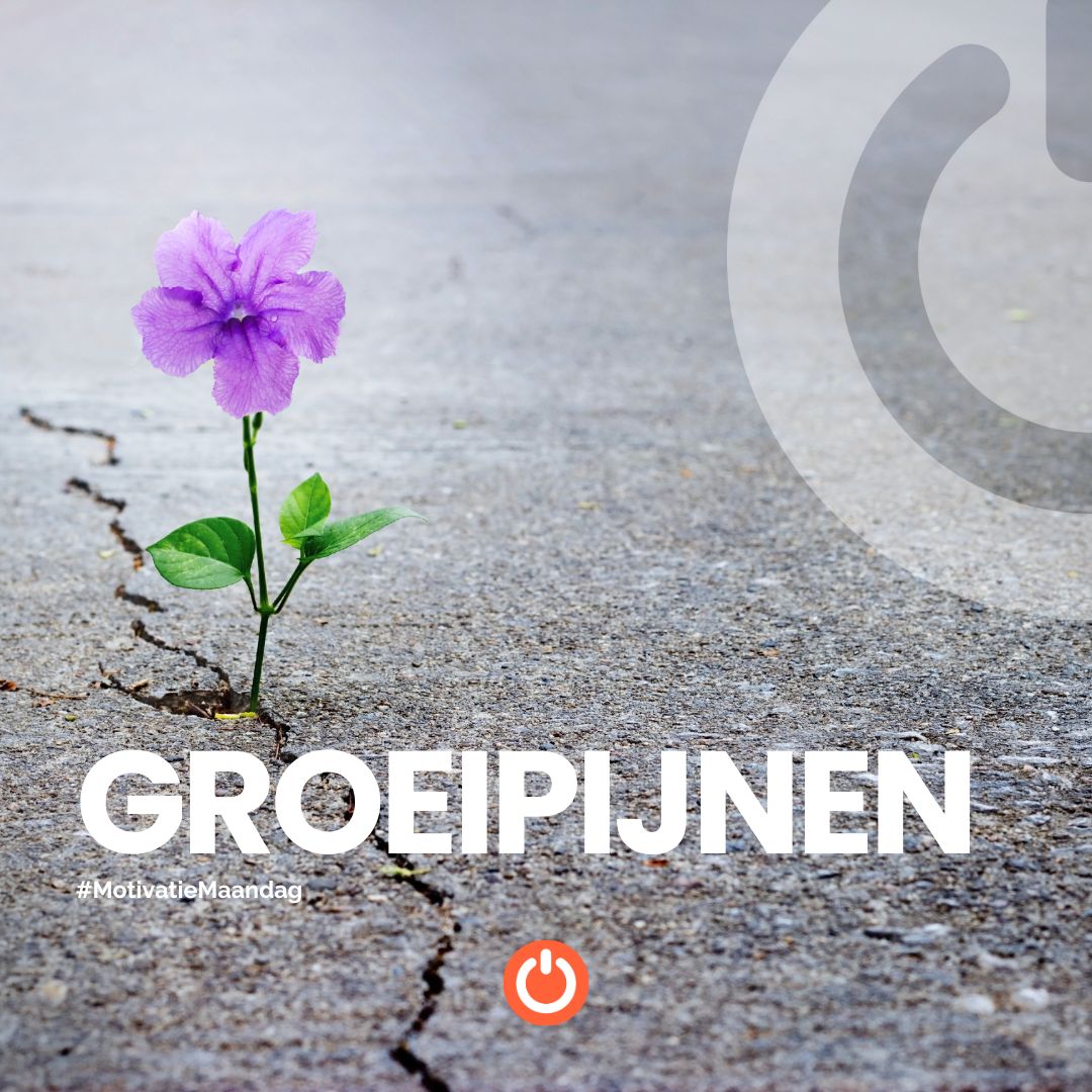 FunnelGuruNL's tweet photo. Ja, groeien doet soms pijn. Maar het vormt ons, maakt ons sterker. Wat wordt jouw groeimoment deze week? ✨

#MotivatieMaandag https://t.co/XLyllsFISN