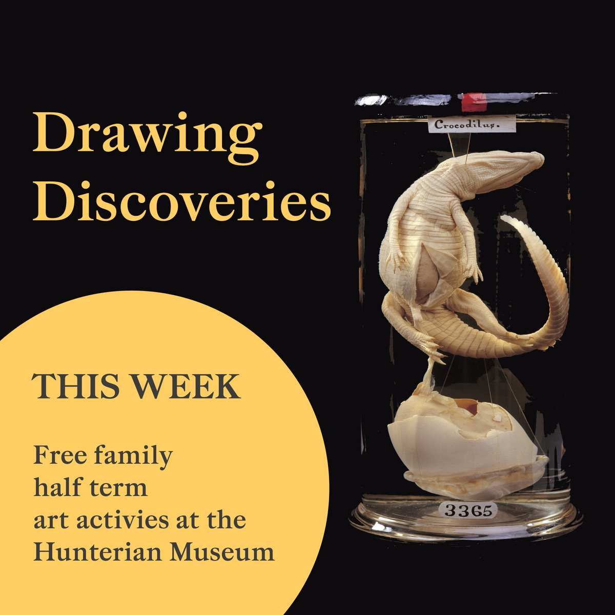 Hunterian Museum London tweet media