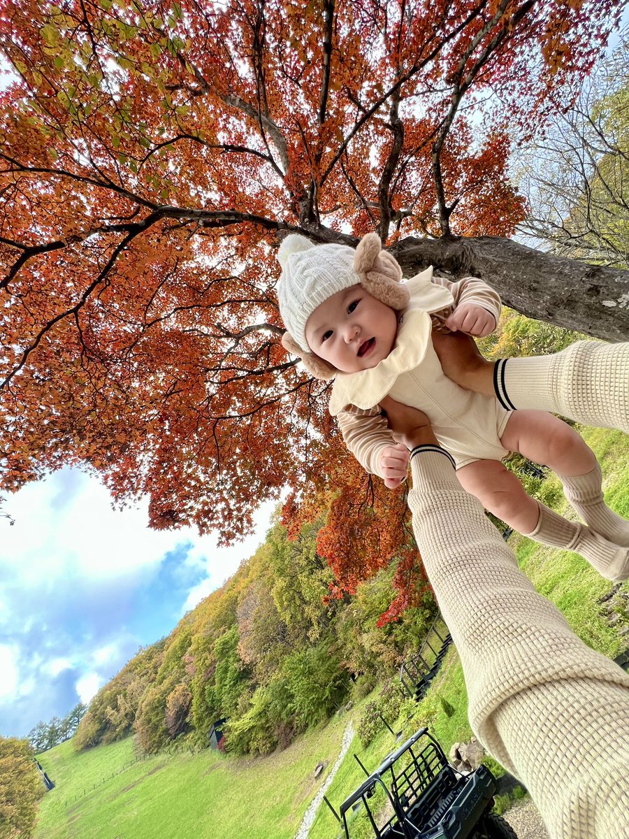 _mei28's tweet photo. 山形は紅葉の季節がきたみたい🍁
今日は #unitecafe に行ってきた👶🏻
紅葉見ながらコーヒーでまったり♡
空気がとても綺麗でした🪿
山形きたら、蔵王へ⛰️ https://t.co/Yjdu5wplNI