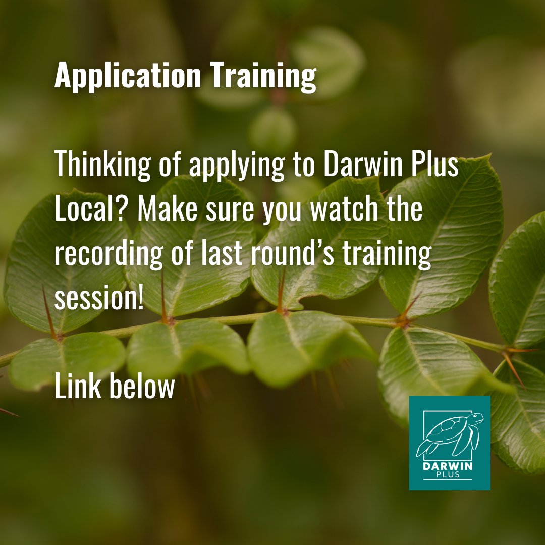 #DarwinPlus Local training session📢 💡To understand the essentials of a good application, watch the recording of a training session hosted to support D+ Local applicants loom.ly/ApMJBBY 🤝Help us #ProtectBiodiversity – watch & apply 🗓️Deadline Weds 29 Nov